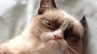 image de Lundi 3 juin 2013