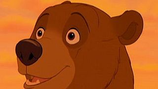 image de Les transformations en ours