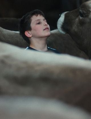 Movie cover