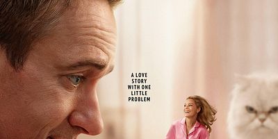poster de la série 