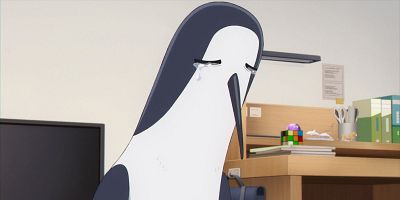 poster de la série L'oiseau du nord construit son nid en branches du sud