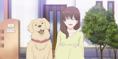 poster de la série Renouer des liens