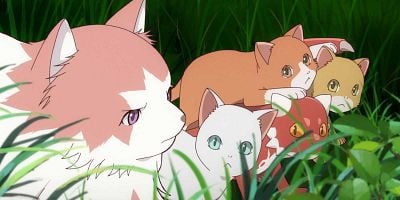 poster de la série Les Chats et le Dragon