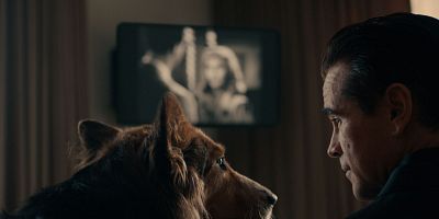 poster de la série Shibuya Crossing