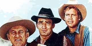 poster de la série The Brothers