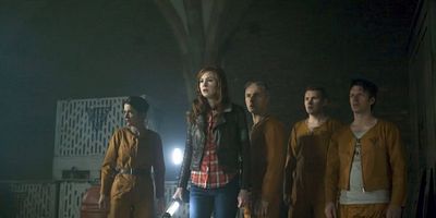 poster de la série La chair vivante