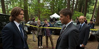 poster de la série Caméra au poing