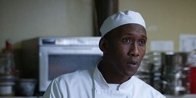 poster de la série Les frères Ames