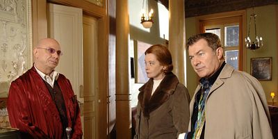 poster de la série De main de maître