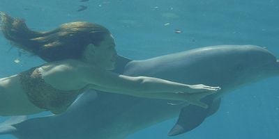 poster de la série Malade d'amour