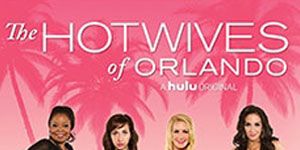 poster de la série Meet the Hotwives