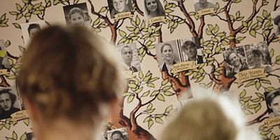 poster de la série L'arbre déchiré