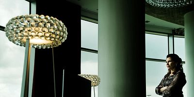 poster de la série Le rugissement de la lionne