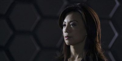 poster de la série La vengeance de Cal