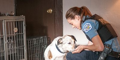 poster de la série Une affaire personnelle