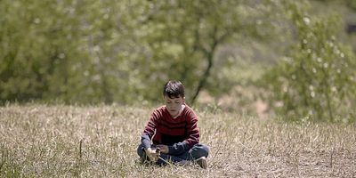 poster de la série Je ne suis pas Lily