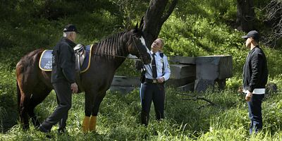 poster de la série A l'état sauvage