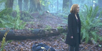 poster de la série Les Forces du mal