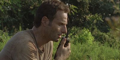 poster de la série Feux de forêt