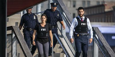 poster de la série L'oiseau vert