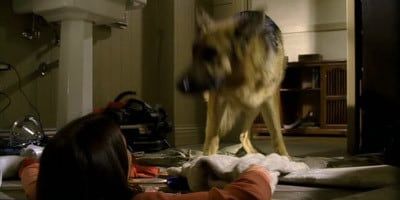 On n'ira pas tous au paradis