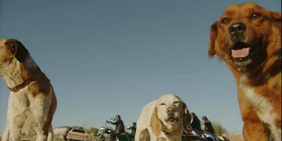 poster de la série Scorpion