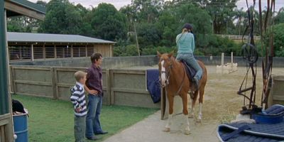 poster de la série Herbes folles