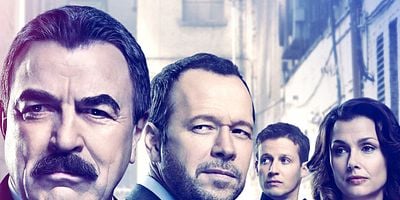 poster de la série Adieu Lenny