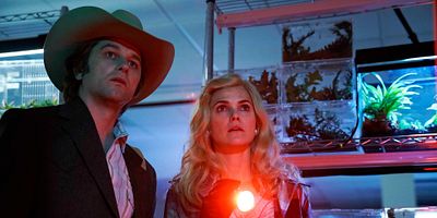 poster de la série The Midges