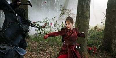 poster de la série La plume du corbeau et le sang du phénix