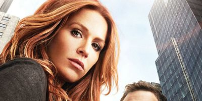 poster de la série Braquage incognito