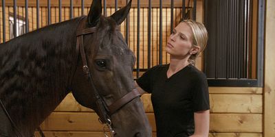 poster de la série La confusion des sentiments