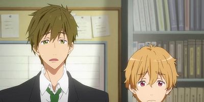 poster de la série Battement de dauphin théorique !