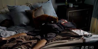 poster de la série Les cobayes