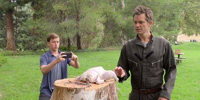 poster de la série La poule et la poire