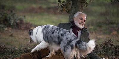 poster de la série Diamant noir