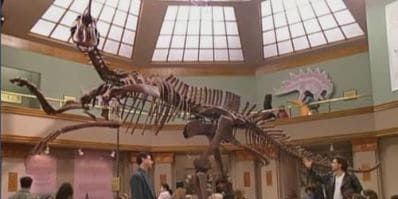 poster de la série Ne touchez pas au dinosaure