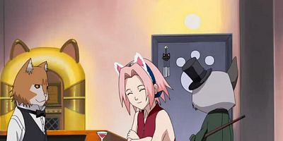 poster de la série Sasuke et l’encyclopédie des pattes