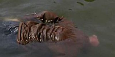 poster de la série Pas de quartier...