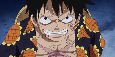 poster de la série Law trépasse. L'attaque enragée de Luffy !