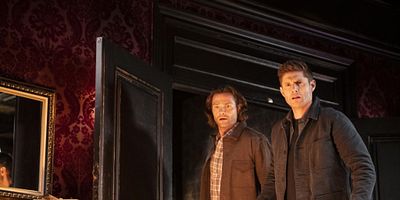 poster de la série Lordo magnificarum