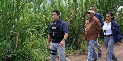 poster de la série Une grande famille