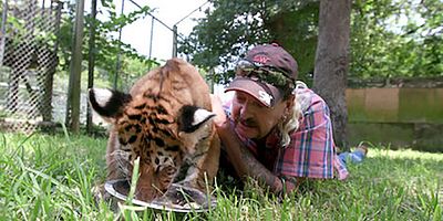 poster de la série La meilleure chose à faire