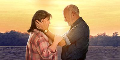 poster de la série Si j'avais des ailes