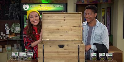 poster de la série La Schrödinger