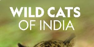 poster de la série Les Maîtres du camouflage