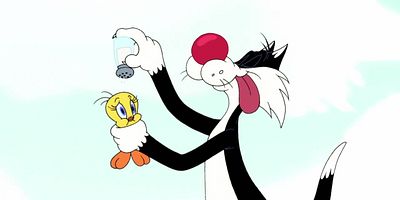 poster de la série Sick as a Hare