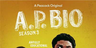 poster de la série Disgraced