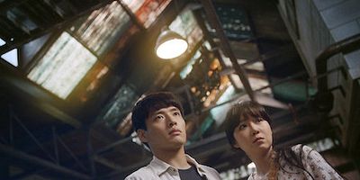 poster de la série Le Lynx local