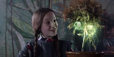 poster de la série L'arbre généalogique d'Amandine